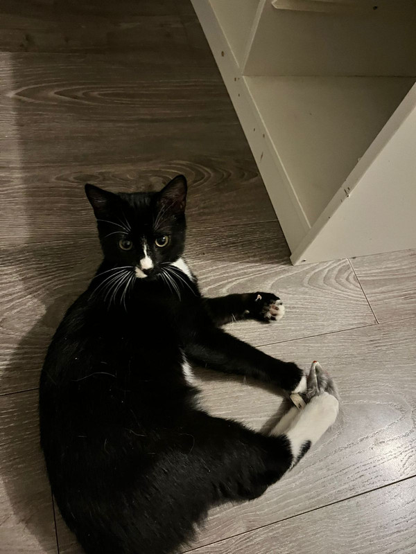 IMG-d646297d452d589fc1e413c562c8a3b9-V