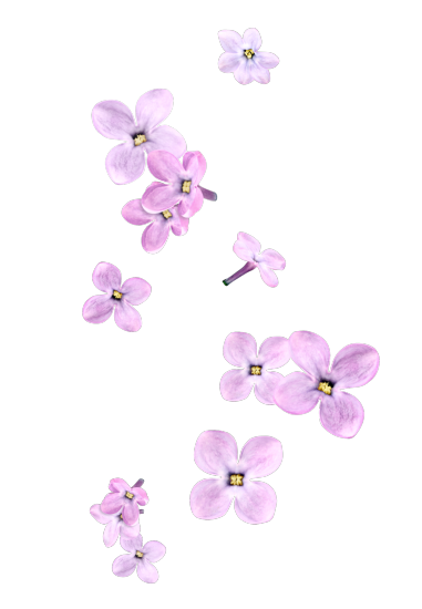 Magic Fairy Garden (65)