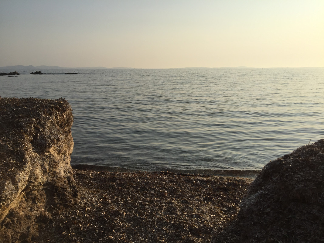 B74E8360-1E9E-411A-A34F-5A6DCF141612