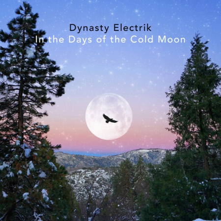 Dynasty Electrik - In the Days of the Cold Moon (2021)