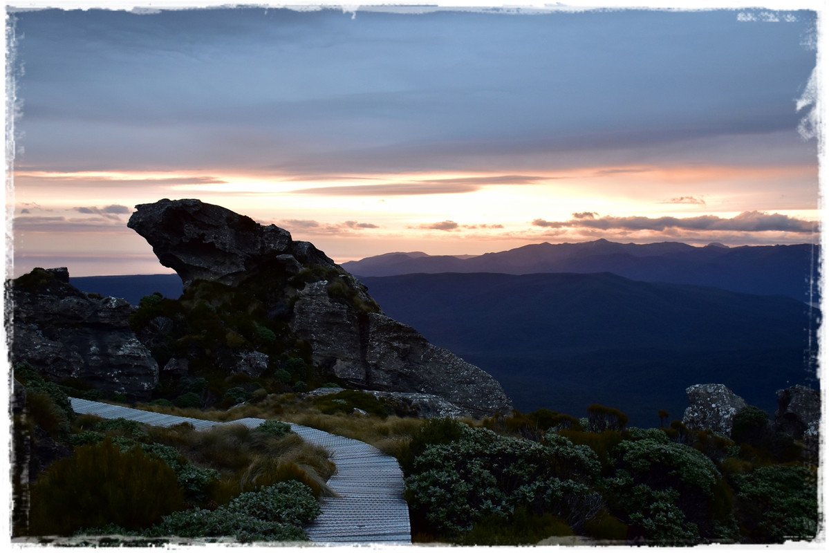 Escapadas y rutas por la Nueva Zelanda menos conocida - Blogs de Nueva Zelanda - Fiordland NP: Humpridge Track (febrero 2021) (28)