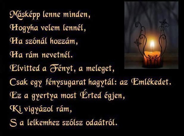 1926909_934183053283087_7896265158923961746_n