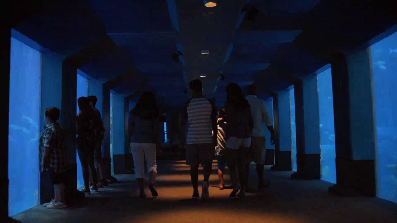 vlcsnap-2022-10-06-21h44m59s074