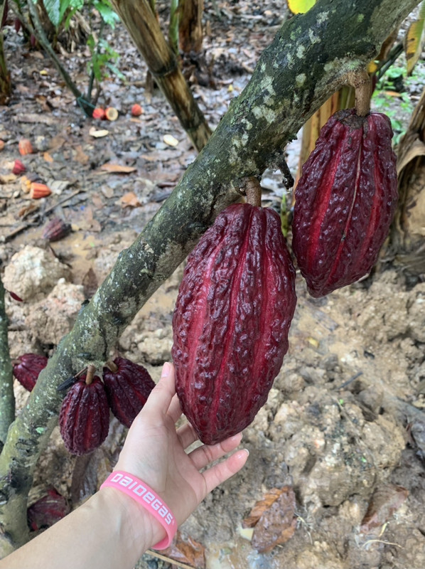 781E8464-BCC5-4506-88E6-417A78AFCA59