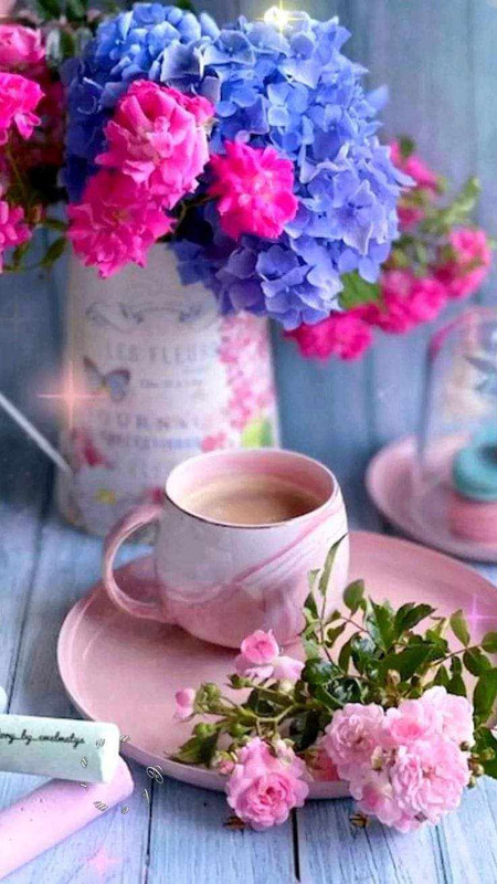 423737676_433872672393739_5614043611755150425_n