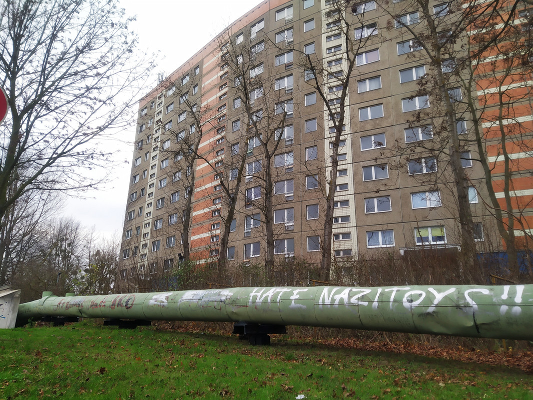 IMG-20201207-091048.jpg