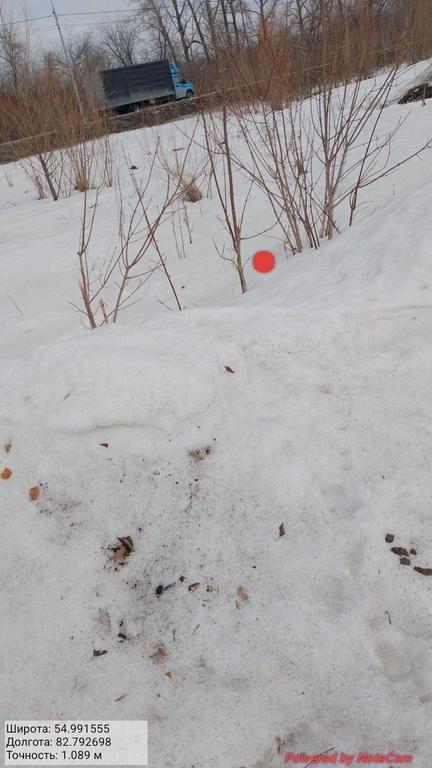 5803613542 7a493cf6 jpg