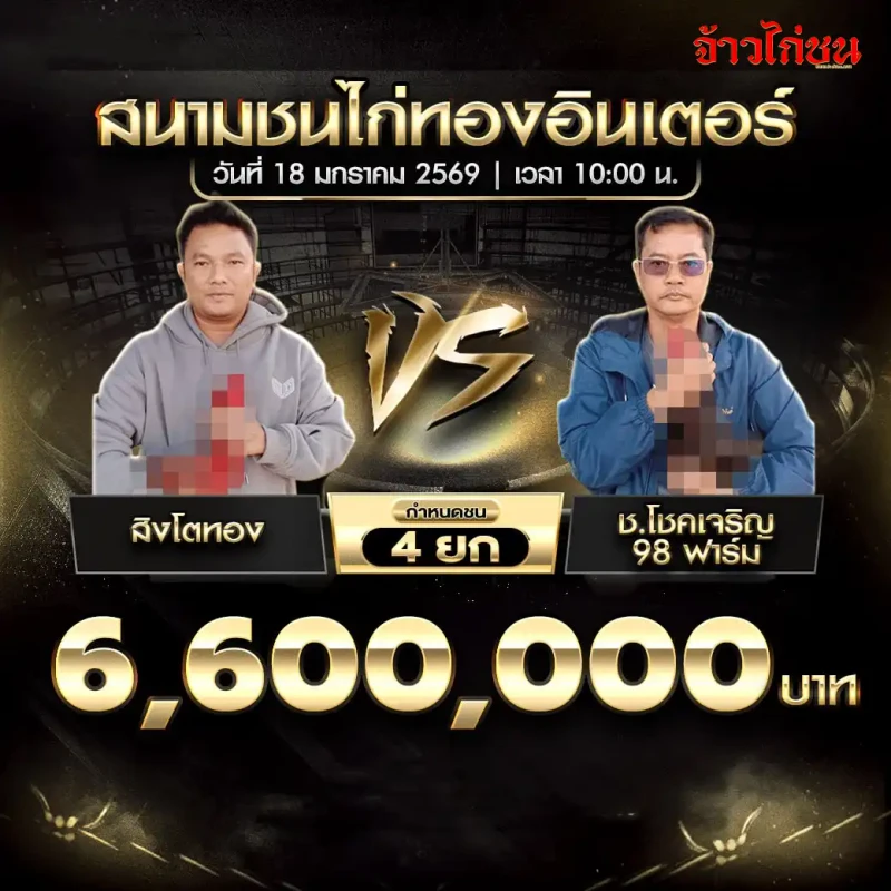 โปรแกรมไก่ชน คู่เด่น สิงโตทอง พบ ช.โชคเจริญ 98 ฟาร์ม ชิง 6,600,000 บาท ชน 4 ยก