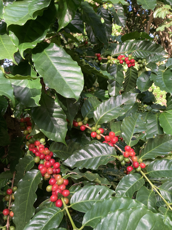 71BB804B-1B71-4058-9C75-4F5EB4120DBD