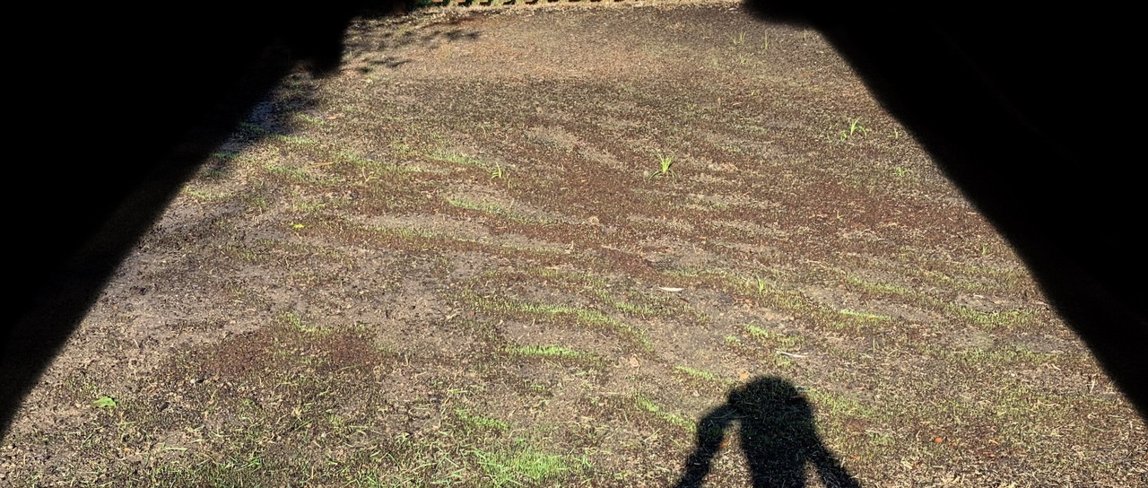 08368ED7-8250-4B2A-AF80-9C1C2C46E209