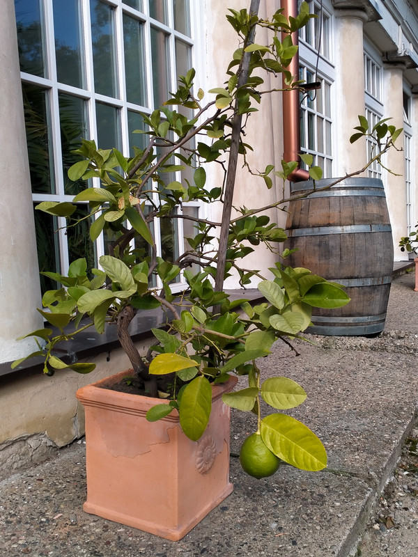 001 - IMG20210904154109