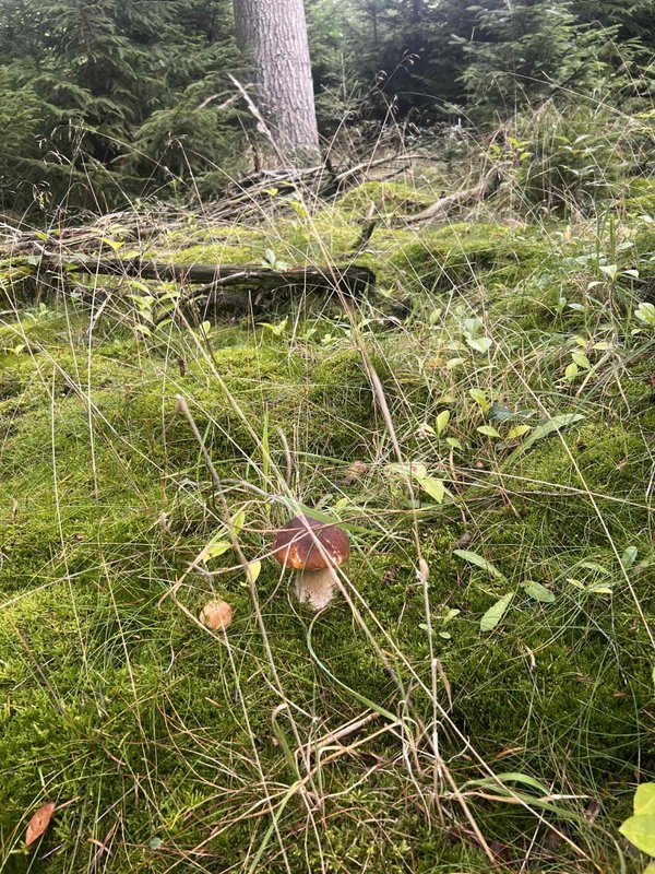 Изображение WhatsApp 2025-09-16 в 23.25.47_8097987f