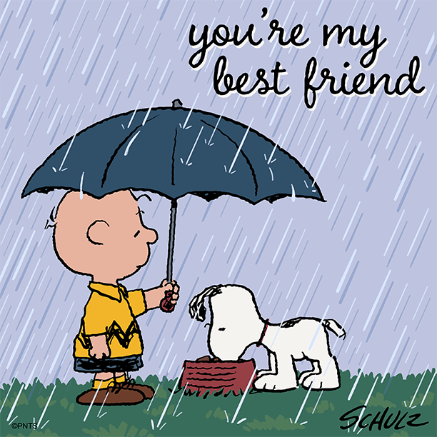 Rain-best-friend
