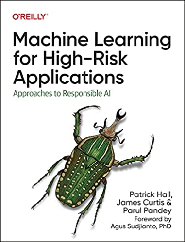 Machine Learning for High-Risk Applications: Approaches to Responsible AI