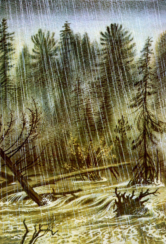 Goryshin-Gleb-Na-altajskoj-trope-222354-27