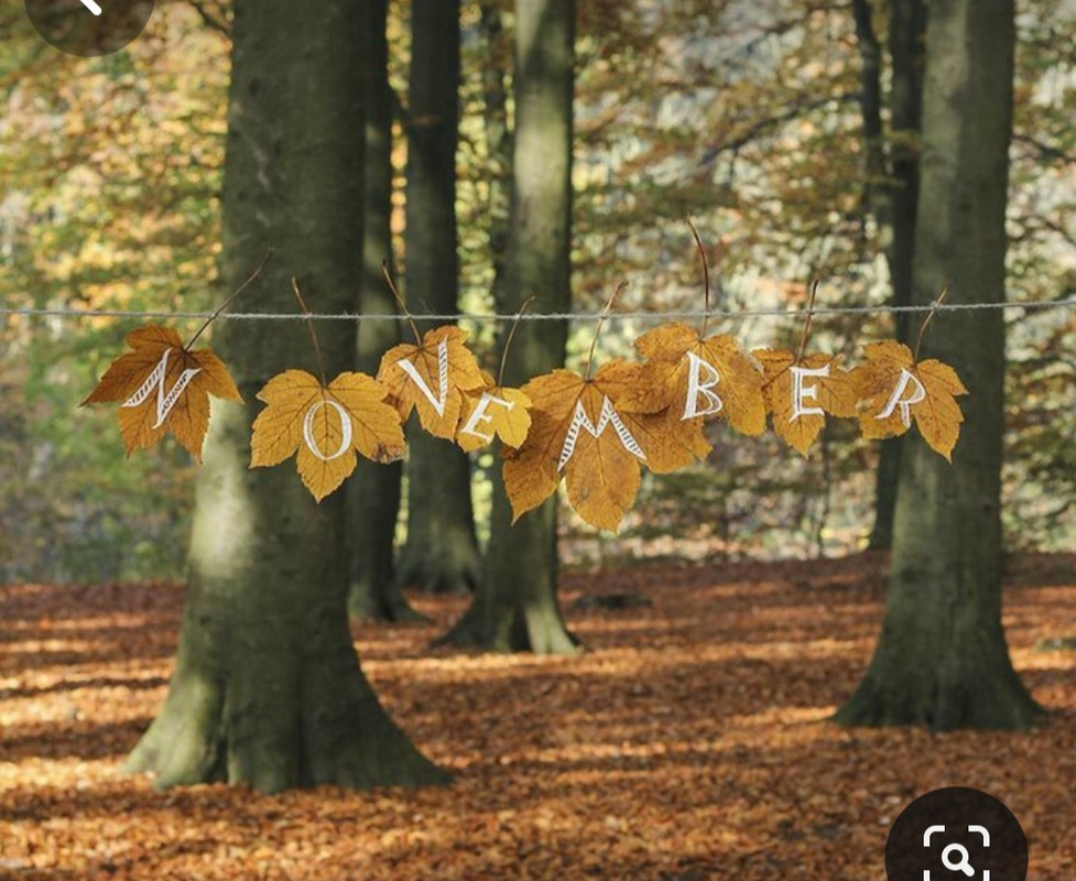 Screenshot_20231112_232040_Pinterest