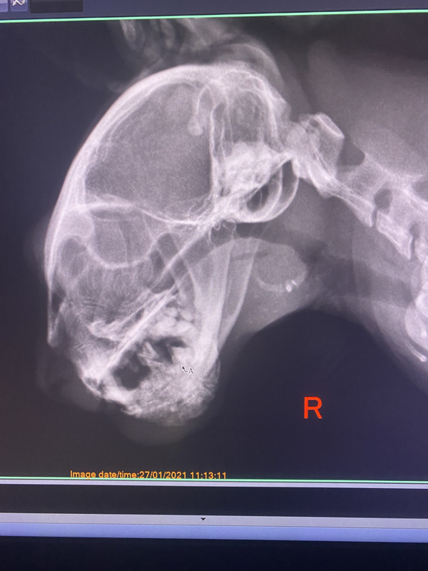 9C62B0C2-86D4-4EB7-B73F-800C5806B5E8