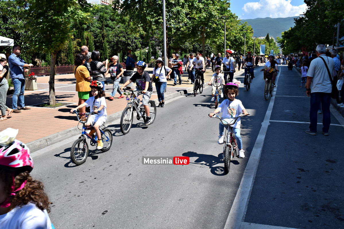 ΛΟΥΛΟΥΔΕΝΙΑ ΠΑΡΕΛΑΣΗ DSC_1443