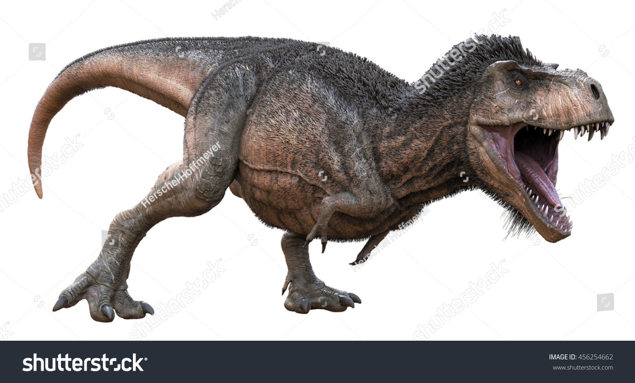 stock-photo--d-rendering-of-a-downy-feathered-tyrannosaurus-rex-456254662