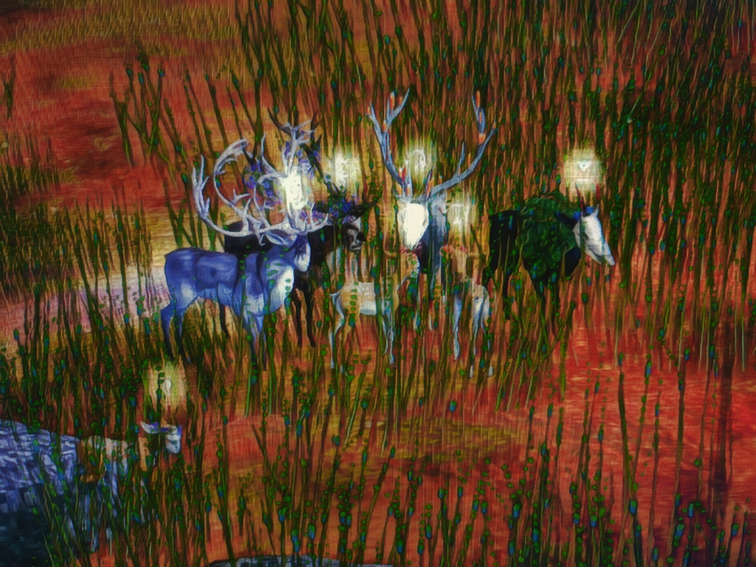 20250714-185531