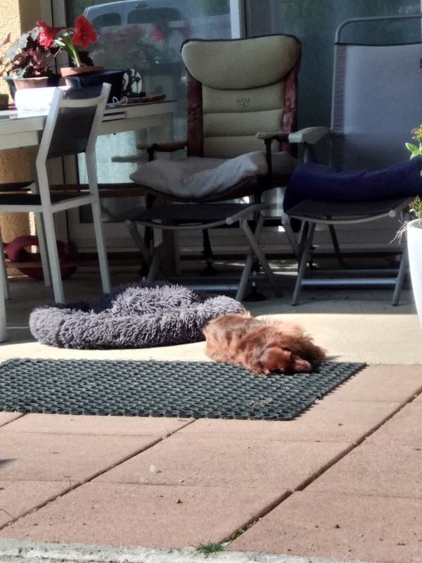 [Image: IMG-20230528-101414.jpg]