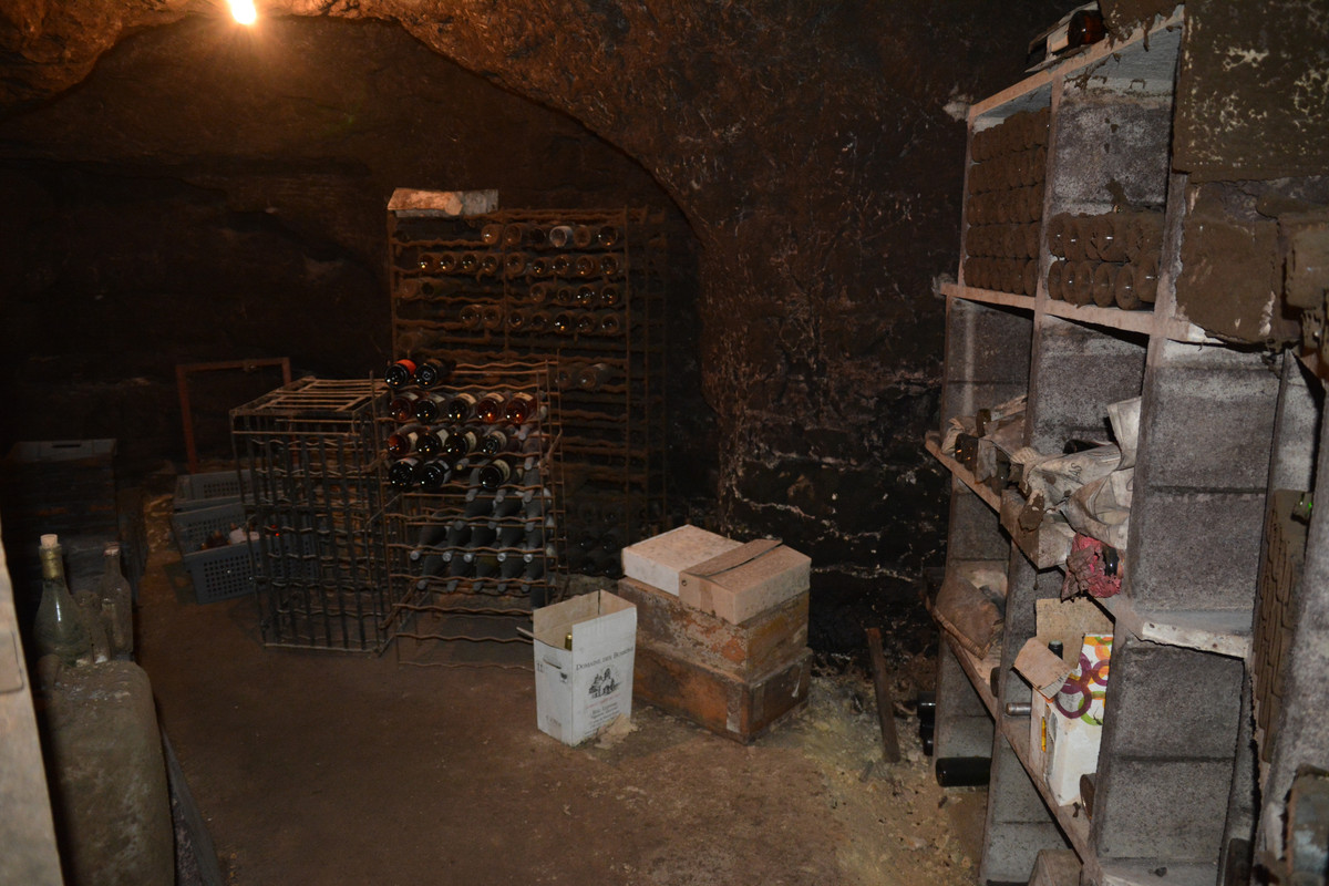 12.08 - DSC_8570 (Ater)