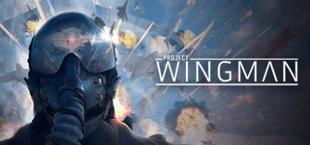 Project Wingman-CODEX