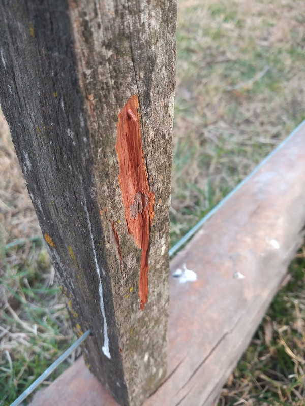 IMG_20240817_172332325