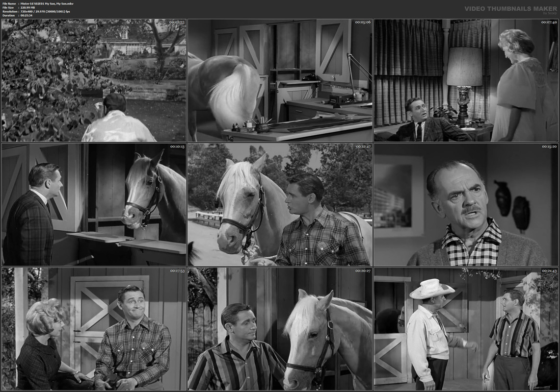 Mister Ed S02E01 My Son, My Son.mkv