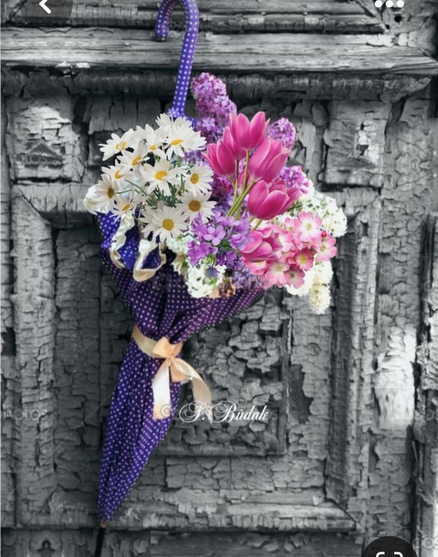 Screenshot_20230403_002455_Pinterest