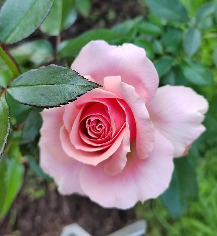 https://i.postimg.cc/qq8SyY3N/073-IMG-20240918-122633-edit-282341234963283.jpg