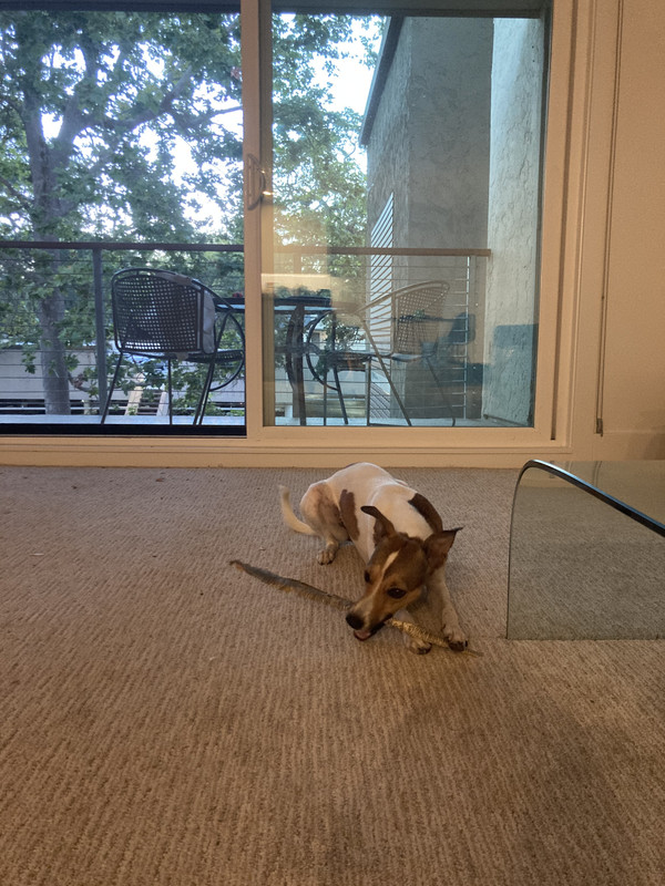 FA0EBF55-F56B-460A-B612-238EE6527347