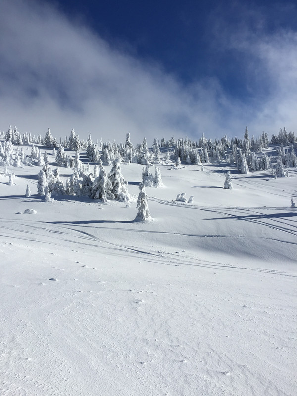 A218C625-DB11-49FE-BDA3-3FF68DCF0D3A