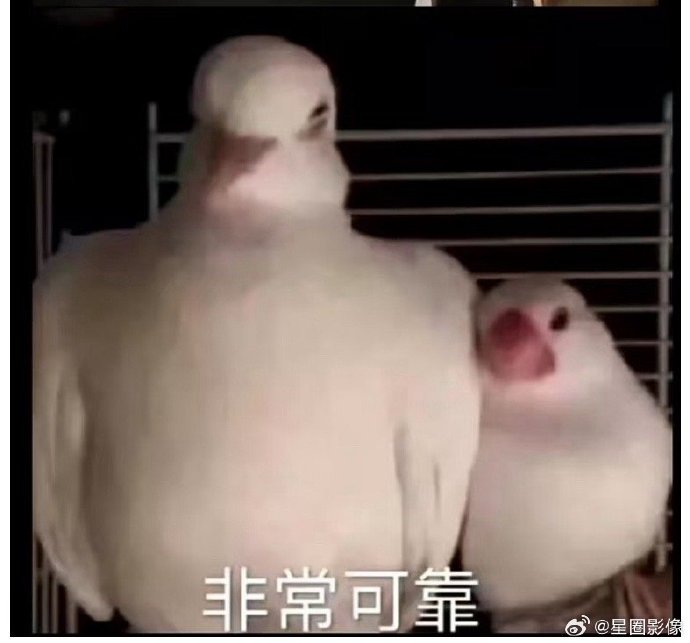 006S23Dpgy1iamwegwm2rj30lv0kdmya