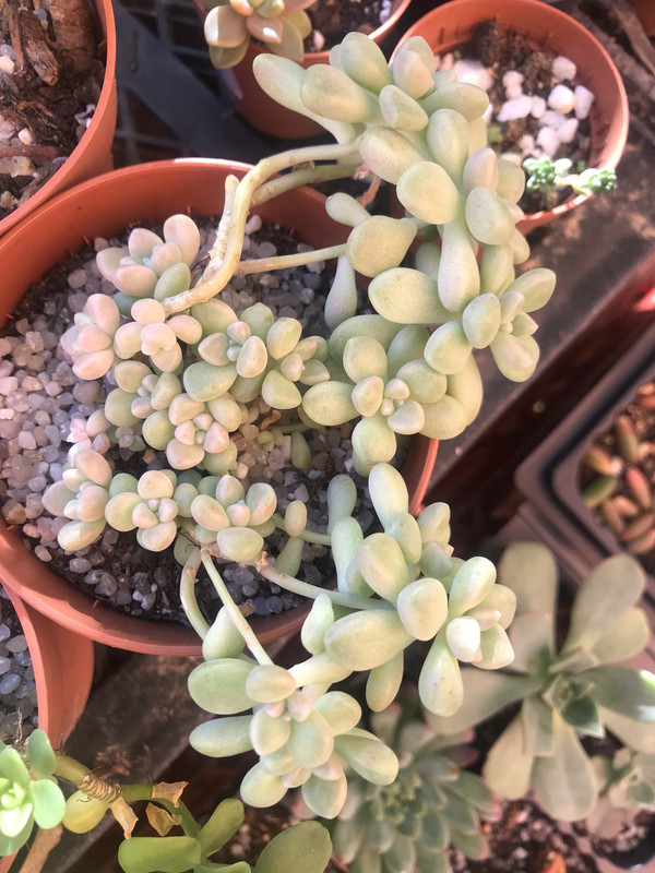 0764D2DF-CE04-47CB-B268-CF4D9F112E25