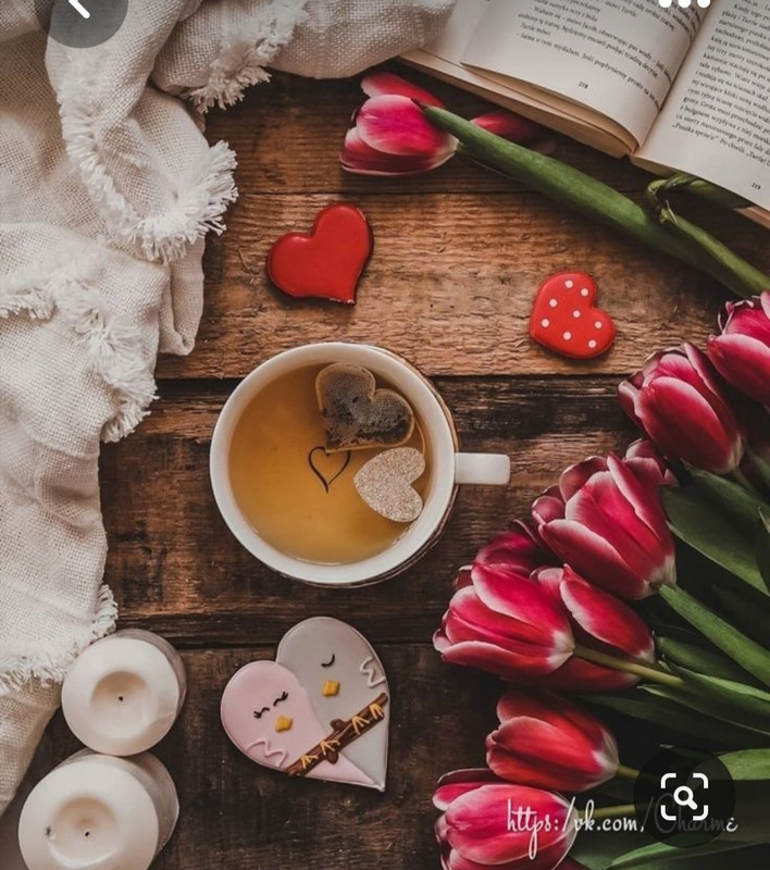 Screenshot_20230528_221719_Pinterest