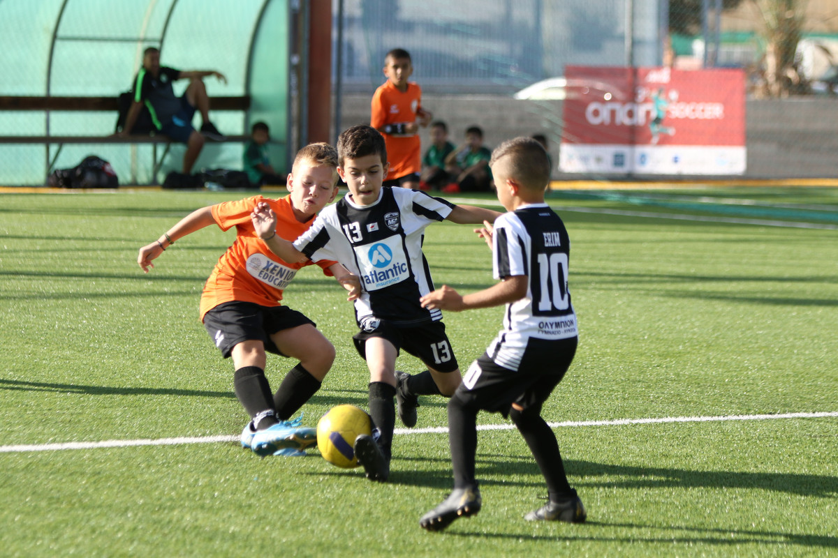 VIK_0390