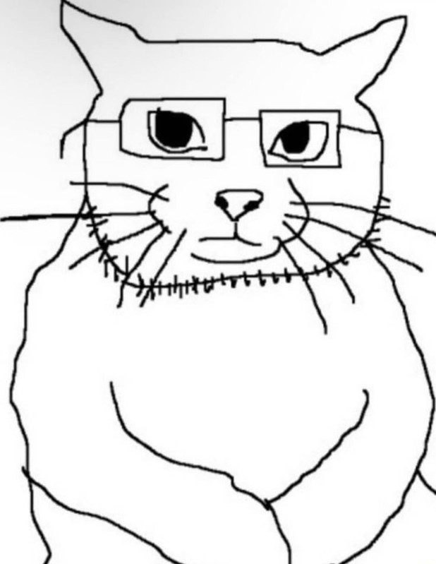 soycat