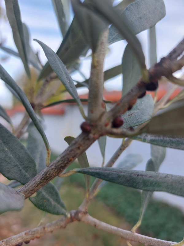 0-02-05-d4e5e64d5876ea571738755eb5fa4d70027488341b9f11f5400243a48c7f7bf6_dba5fc6b707862cb