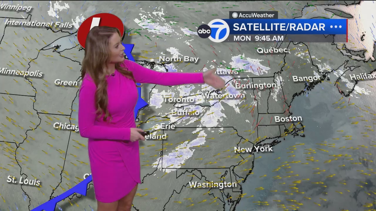 Eyewitness News Mornings at 10_20250113_15001600.ts_snapshot_42.36.841