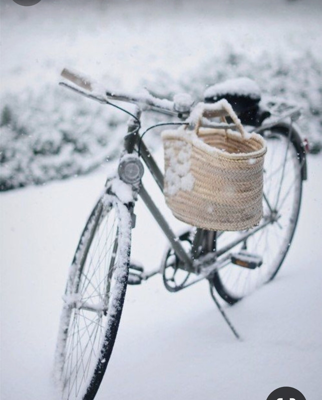 Screenshot_20231221_222106_Pinterest