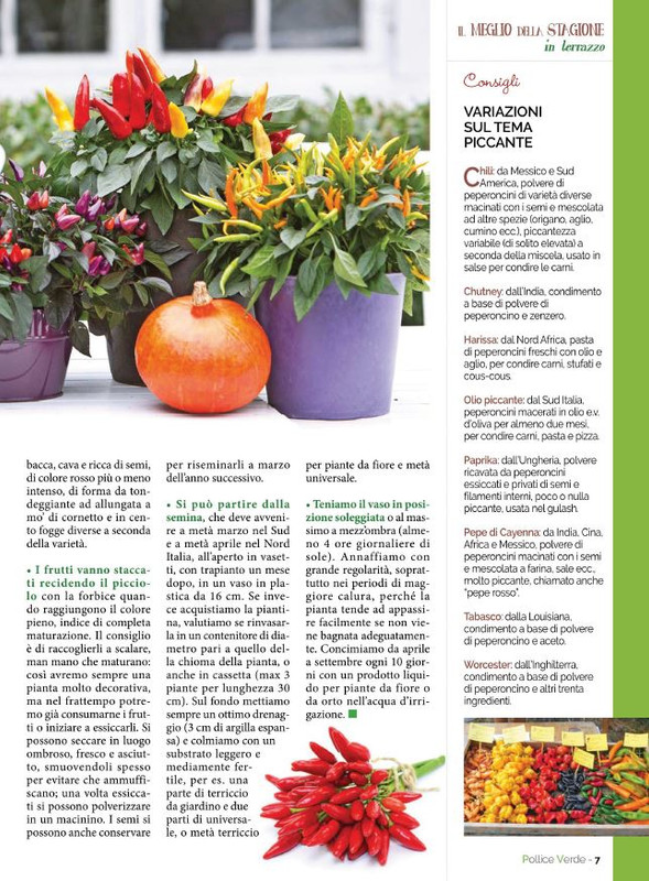 Pol Ver Set 2021 (4)