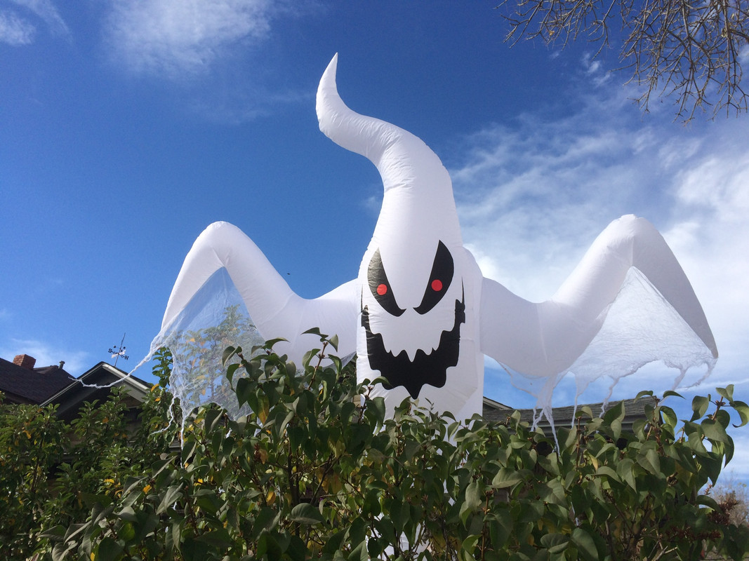 1EE024BE-0B67-4E02-AF34-F23ED6821E90