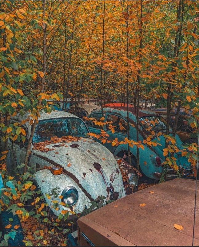 Screenshot_20231207_160337_Instagram