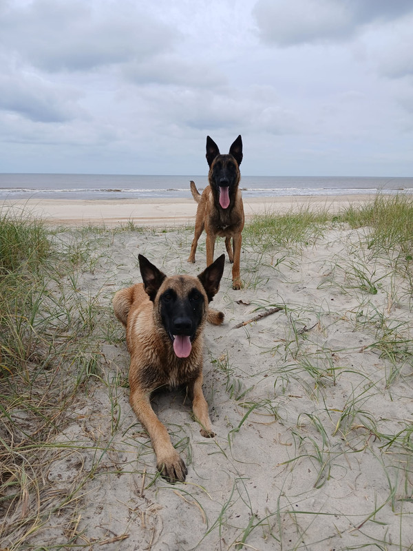 Nike-y-Troy-pose-playa.jpg