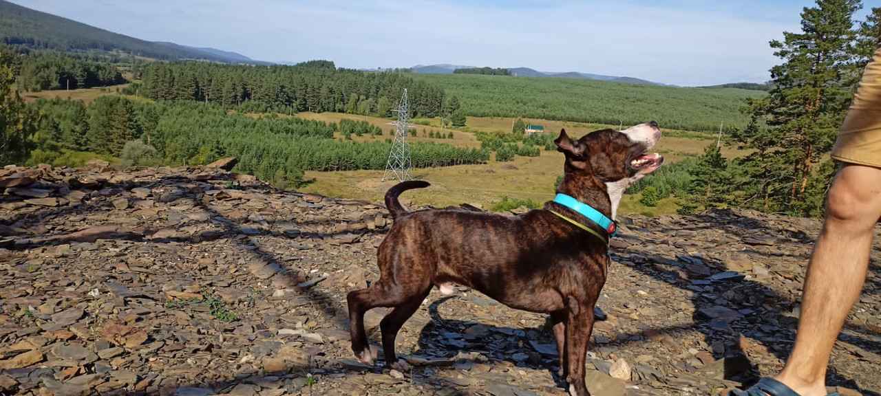 0CAA2590-DE84-497F-8D9F-FEB94B762796