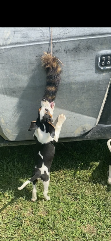 6B717282-15D1-41EB-9229-CAFC301E50C6