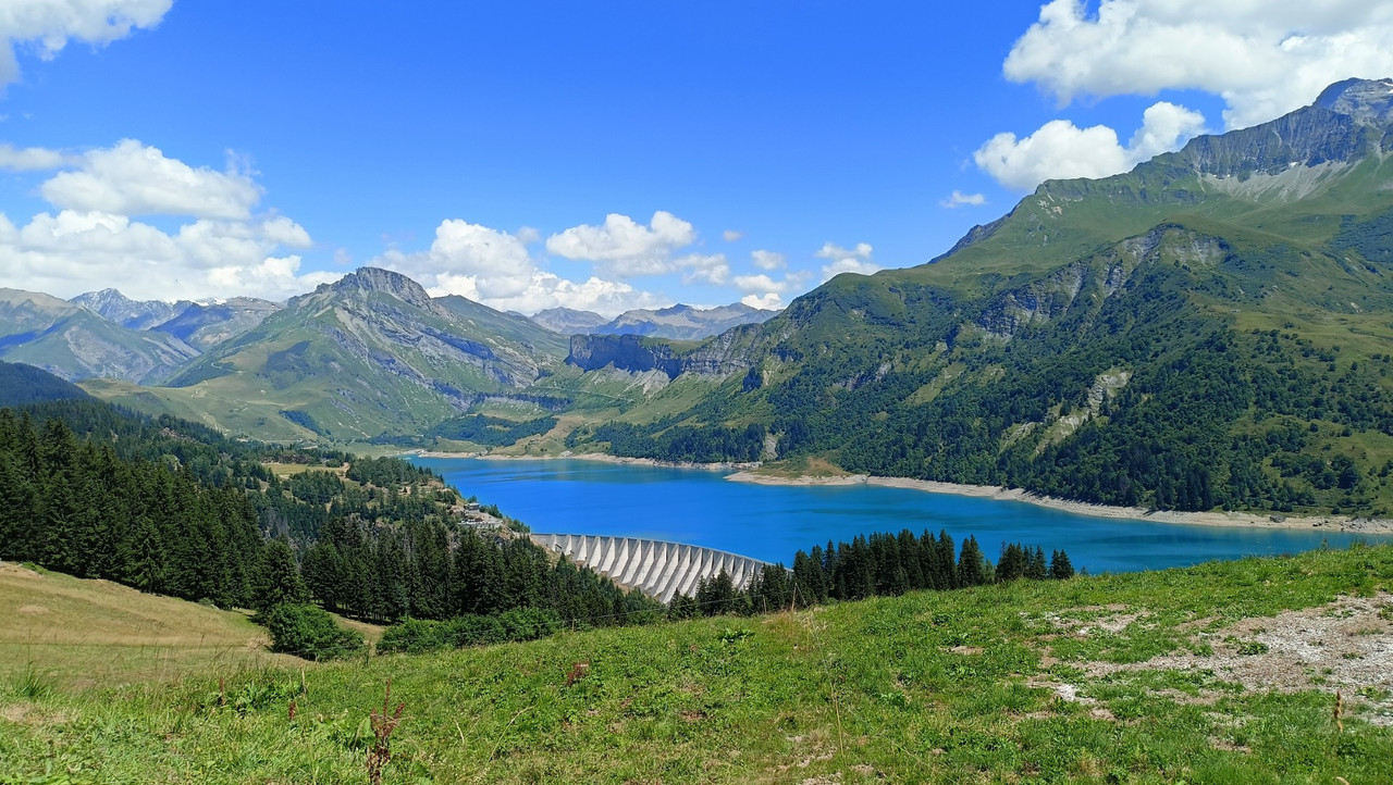 IMG20250712143538 (Large)