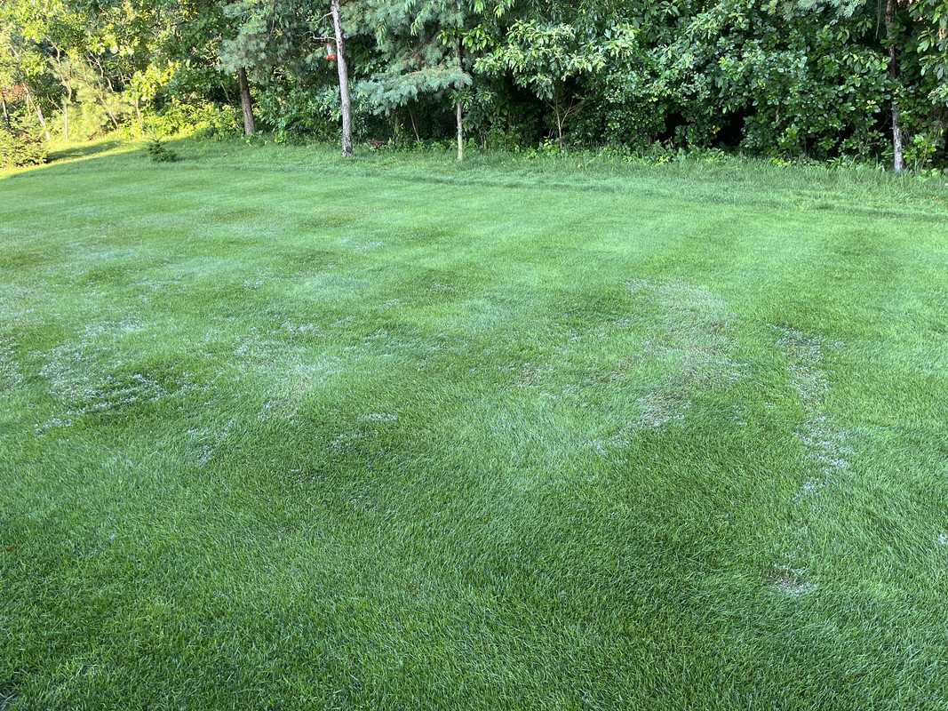 C0D20EF8-F194-4AA2-BA00-25CDF60A7C1E