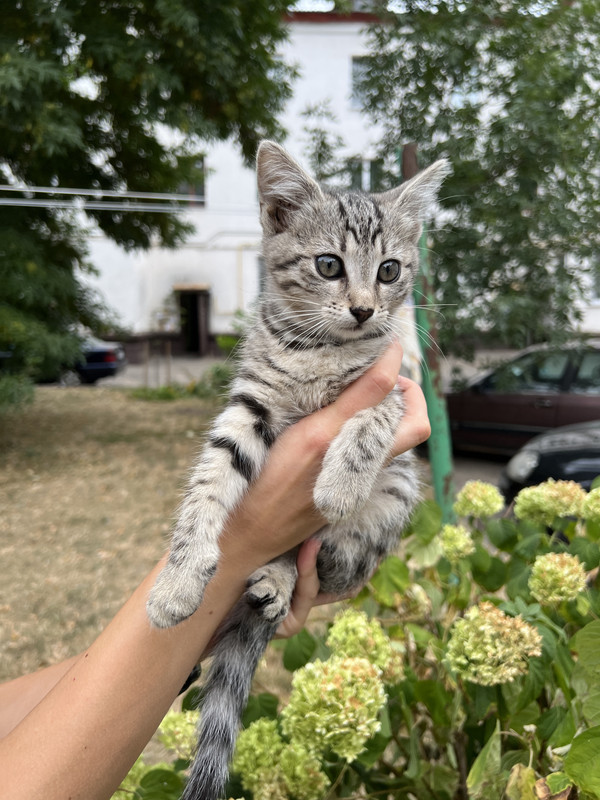 547714CA-51AE-4178-9AAB-D48706BCB251